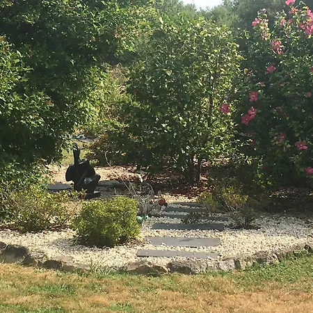 Maison Familiale Avec Piscine Chauffee, Proche Plages Et La Baule - Fr-1-306-1266 Saint-Molf